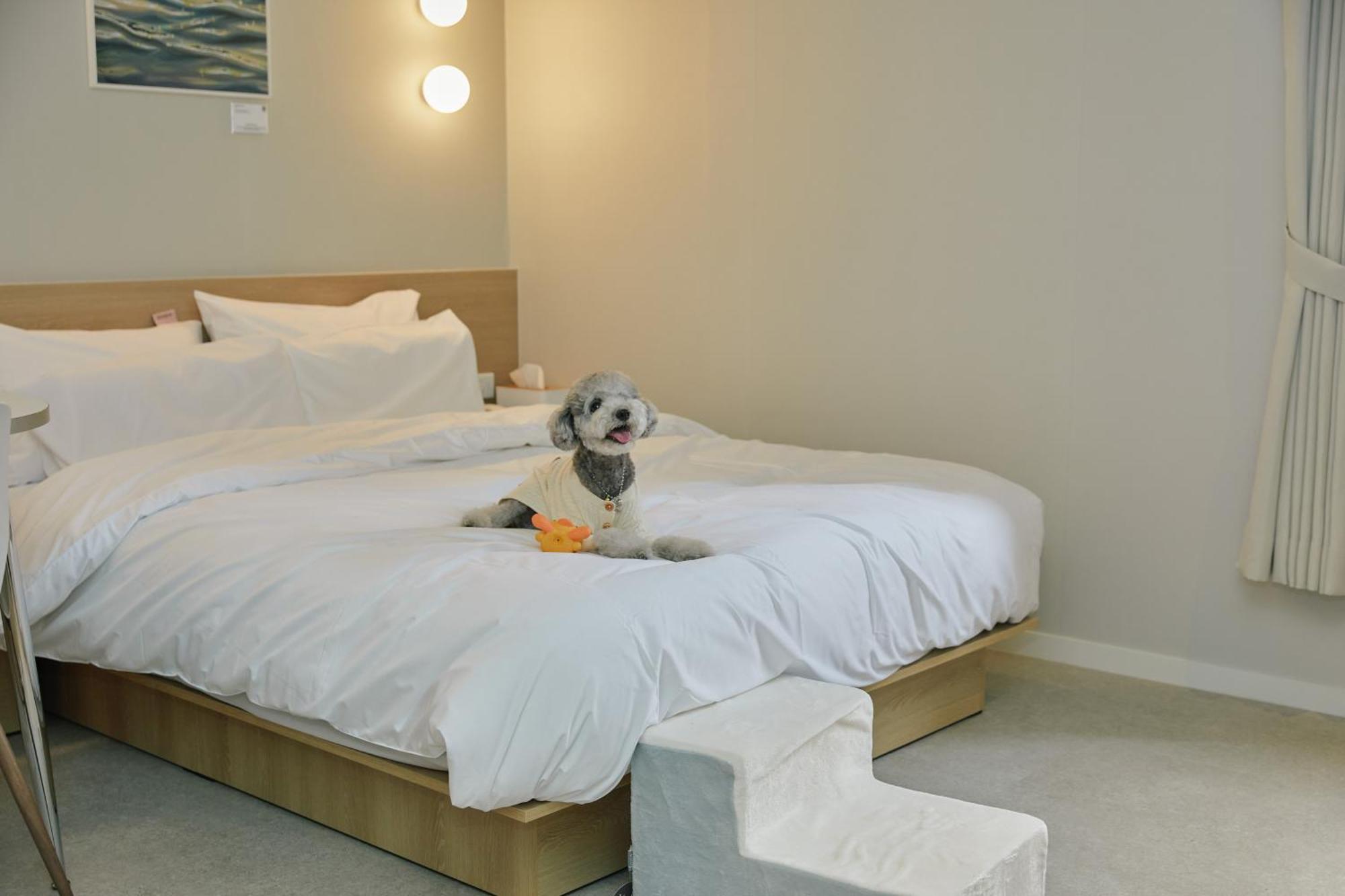 Aank Hotel Incheon Songdo Экстерьер фото